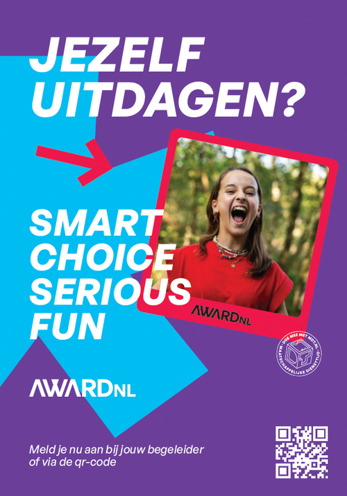 AwardNL Posters (set van 4)